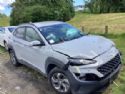 Hyundai Kona EV 2017-Present