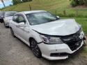 Honda Accord CR6