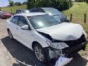 Toyota Camry AVV50