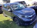 Honda CR-V RW1 2017-2020