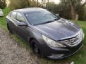 Hyundai i45 EB41/EC41 2011-2015