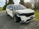 KIA Carnival NB81