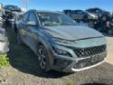 Hyundai Kona K381