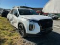 Hyundai Palisade LX2 2018-on