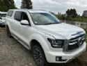 Great Wall Motors Cannon 2021-on