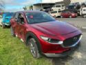 Mazda CX30 DM AWD 2019-on