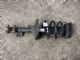 Toyota Alphard ANH10 2002-2008 RF Strut